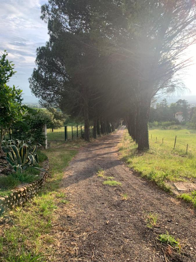 Chateau Le Perchoir Μοντελιμάρ Εξωτερικό φωτογραφία